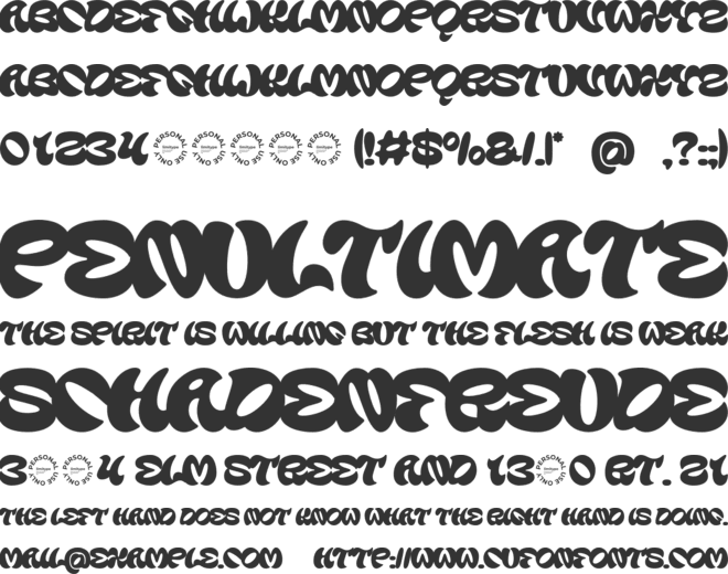 Flowtica Groovy Bold Font font preview