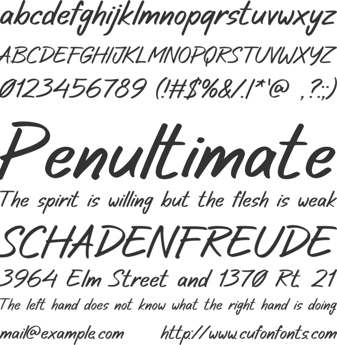 Signer font preview