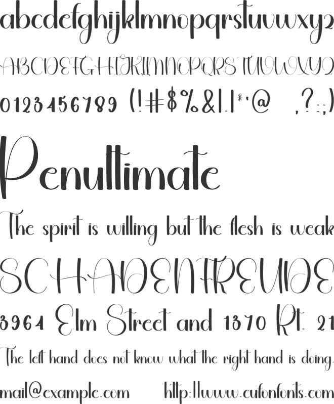 Hore Holiday font preview
