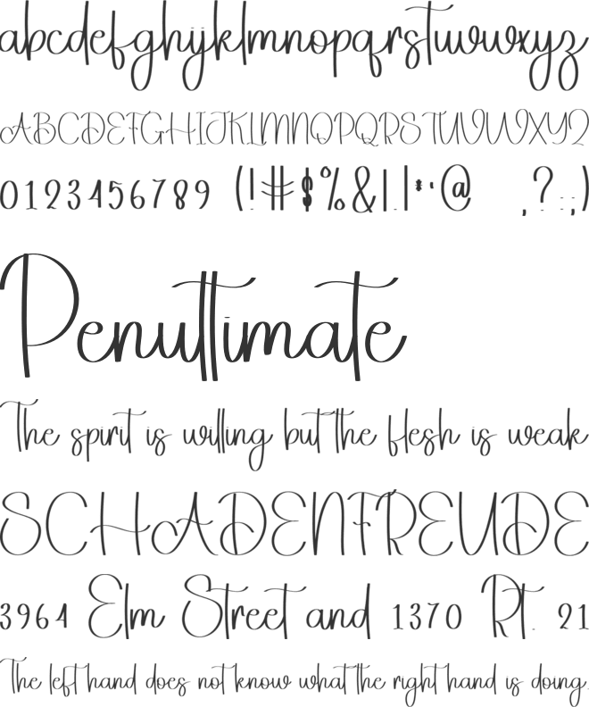 Homestay Birthday font preview