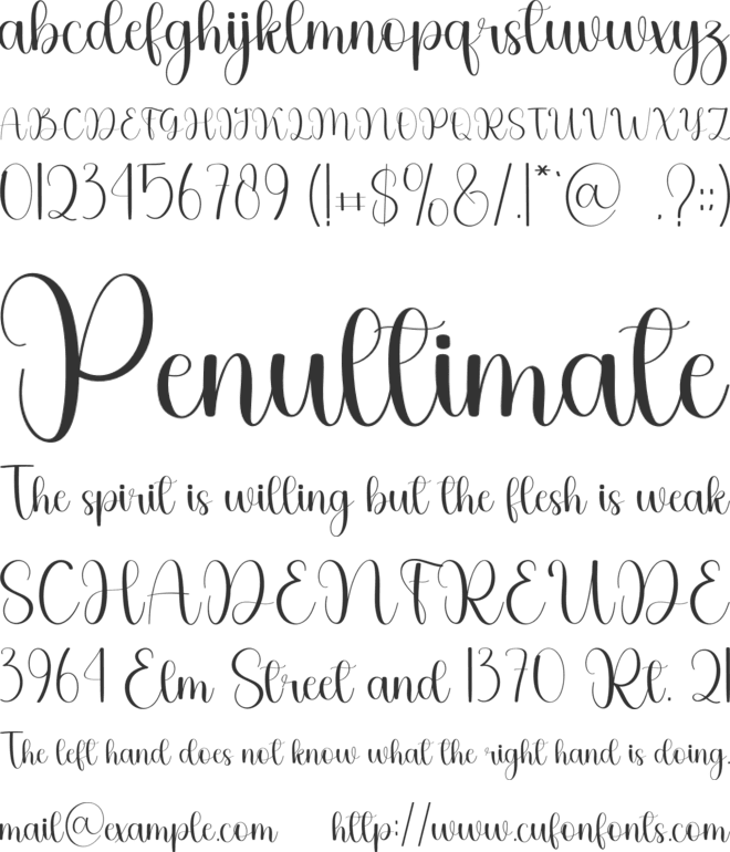 Samantha Choice font preview