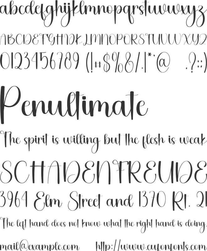 Sagacity font preview