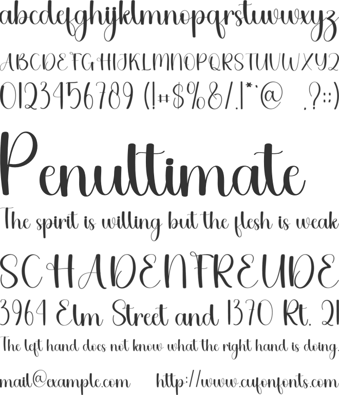 Summer Beauty font preview