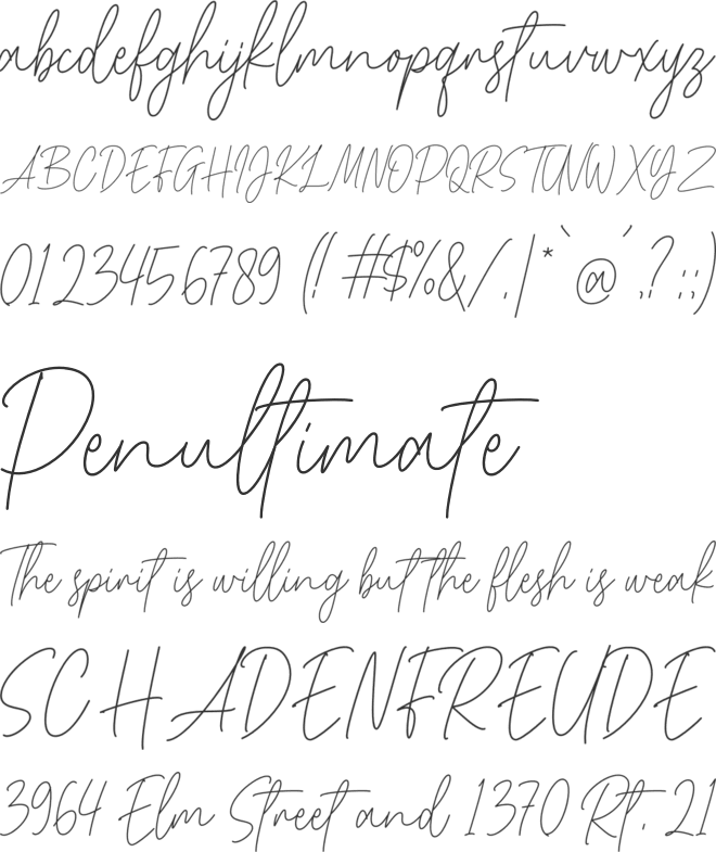 Vigilante Signature font preview
