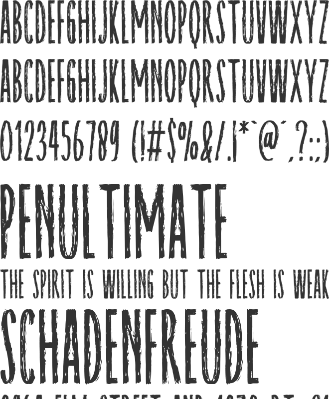 Raynexter font preview