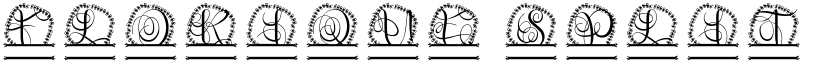 Florique Split Monogram font