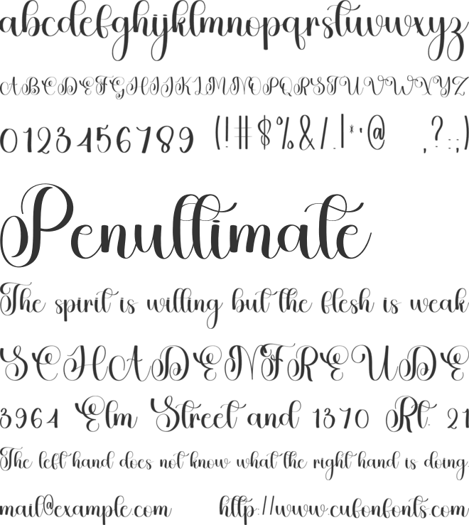 Beauty Writing font preview