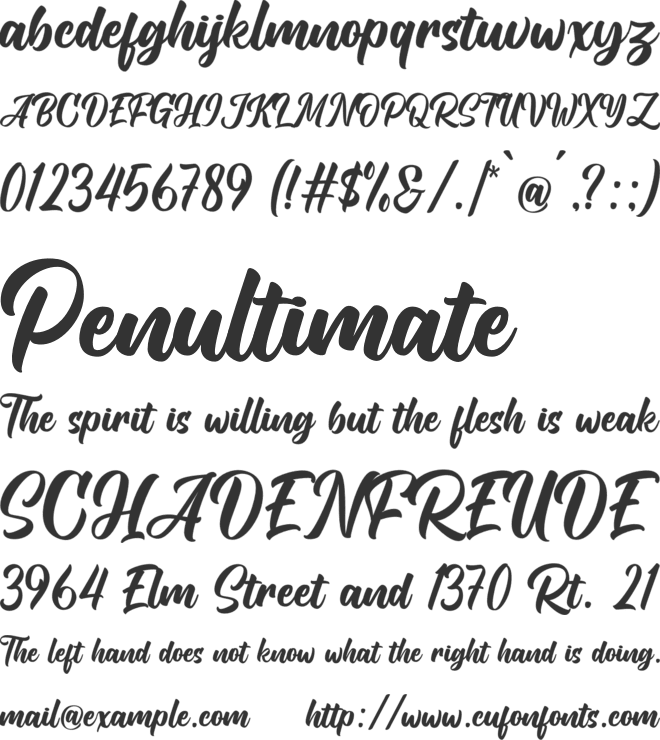 Panthera font preview