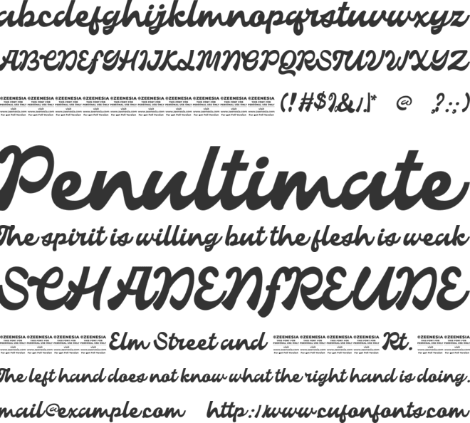Palm De Chunky Personal Use Only font preview