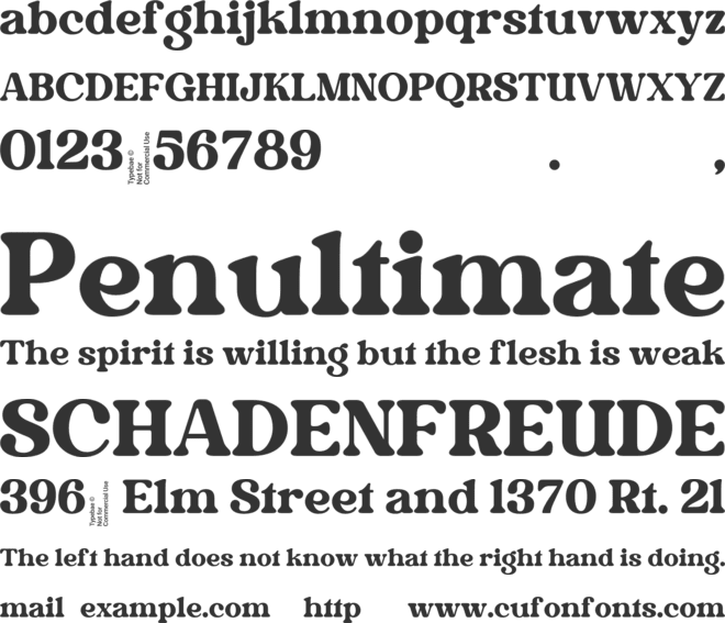 Radvin font preview