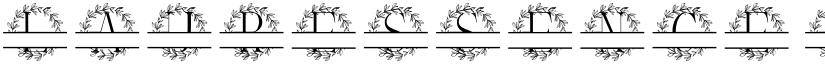 Lauressence Split Monogram font
