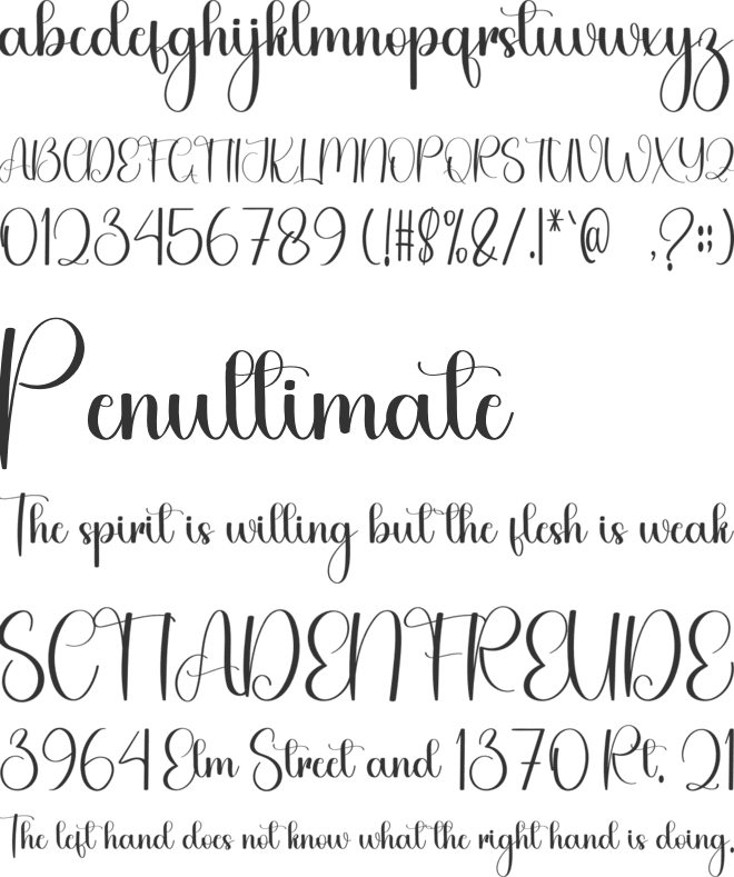 Hailey Bieber font preview