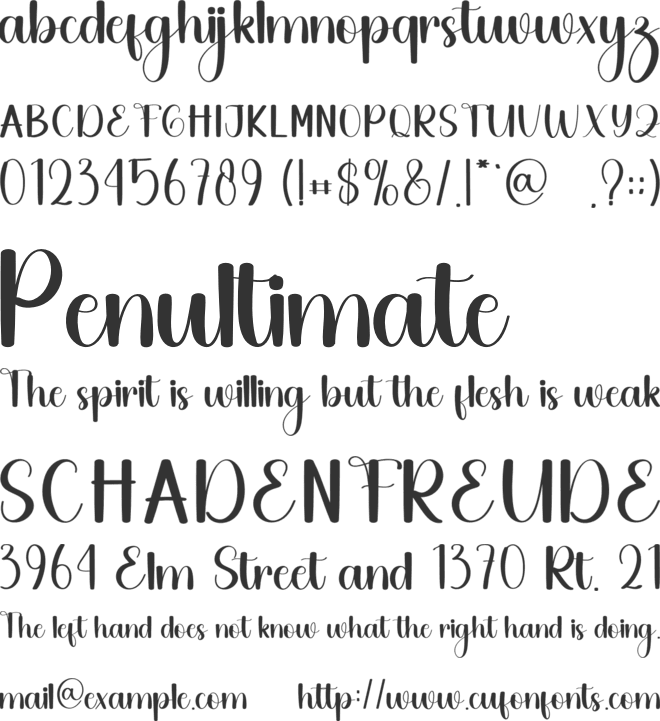 Handwritten Script font preview