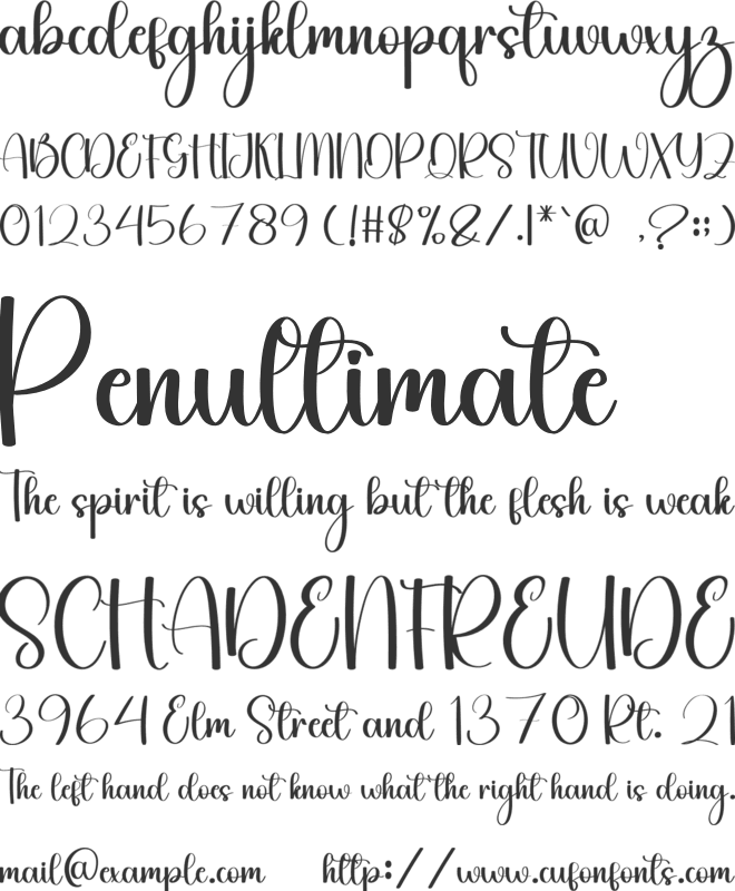 Blanket Cover font preview