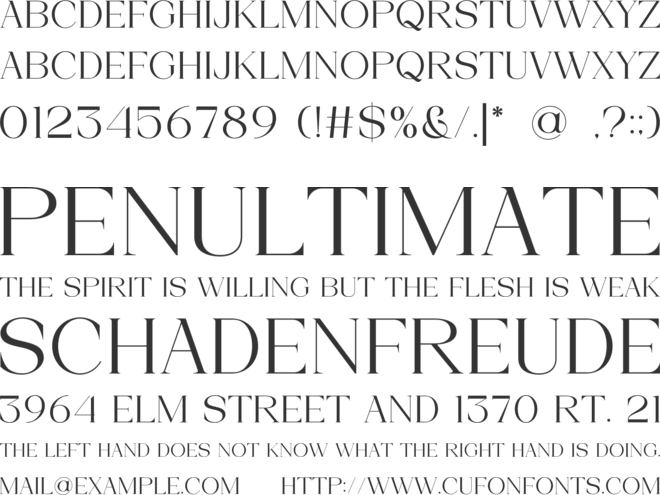 Angelyne font preview