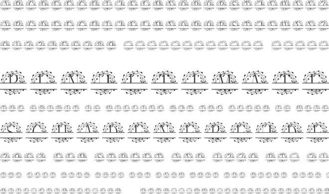 Verdora Frames Split Monogram font preview