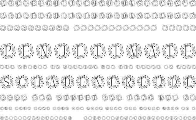 Verdora Frames Monogram font preview