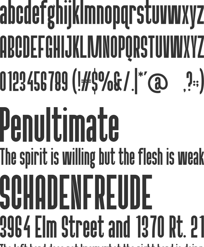 MARLONG font preview