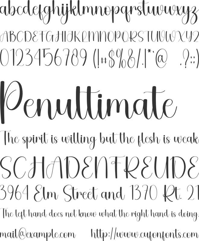 Workshop Daily font preview