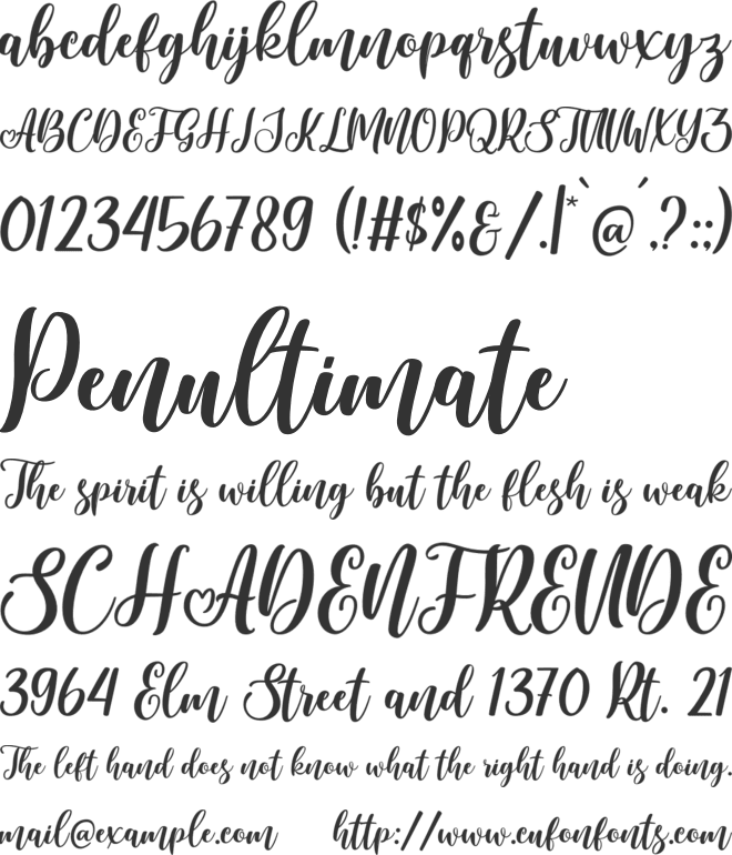 Beloved Christmas Mada font preview