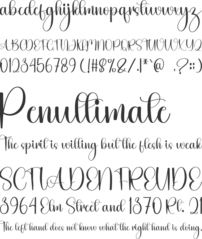 Signature Sagetarius font preview