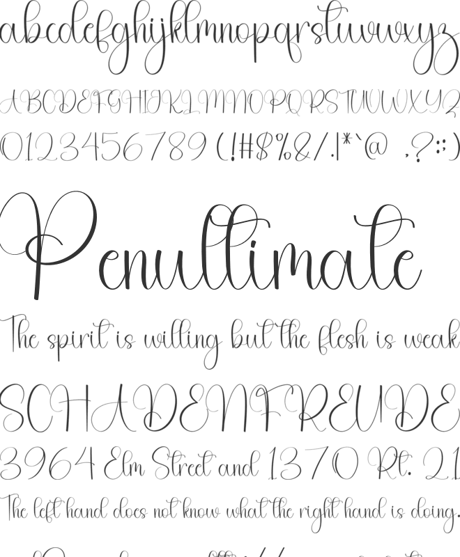 Teacher Dreaming font preview