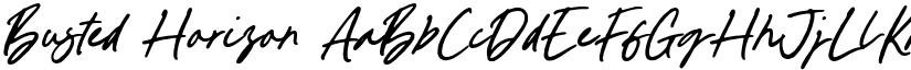 Busted Horizon font download