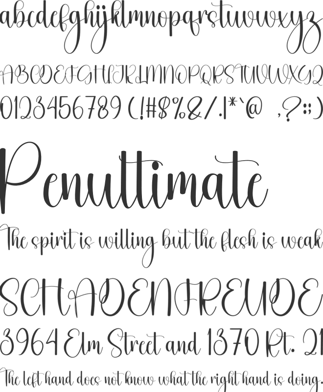 Timelines font preview