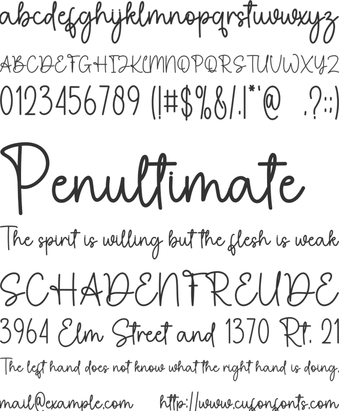 Wintercash font preview