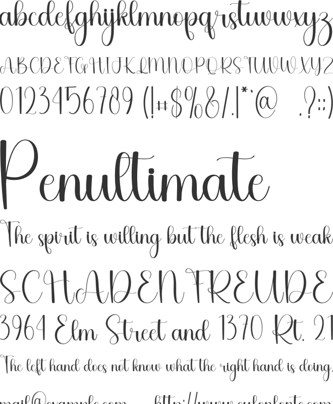 Winterly font preview