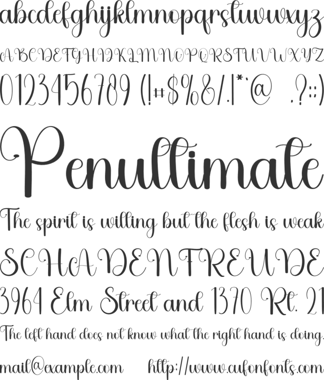 Winter Yesterday font preview