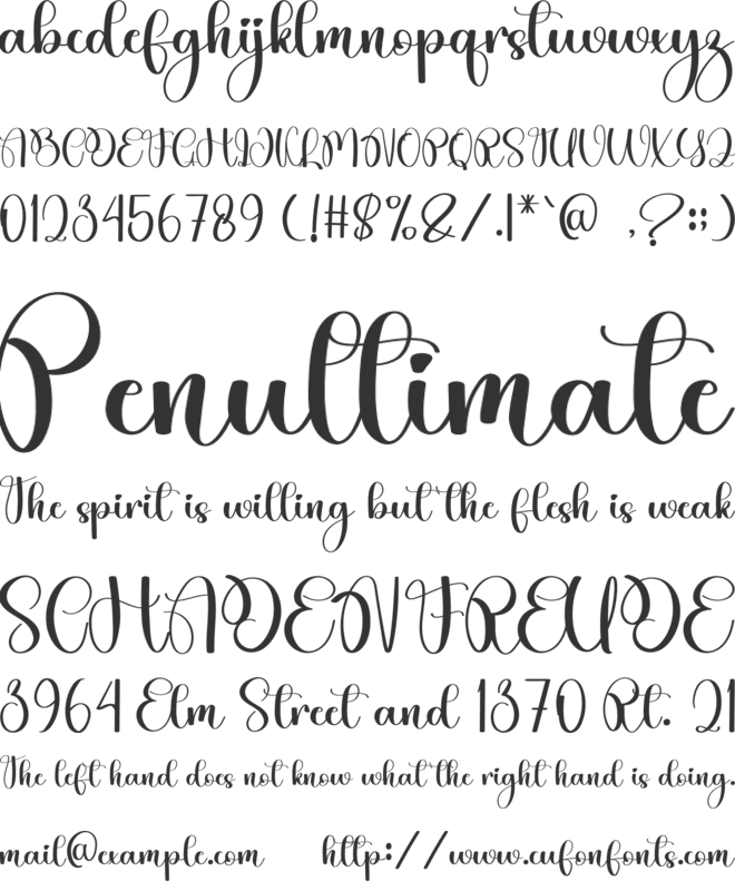 Anibody font preview