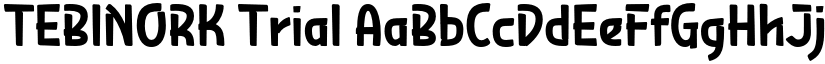 TEBINORK Trial font