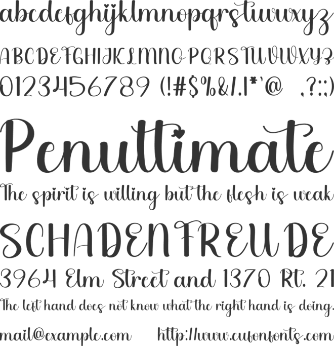 Capture font preview