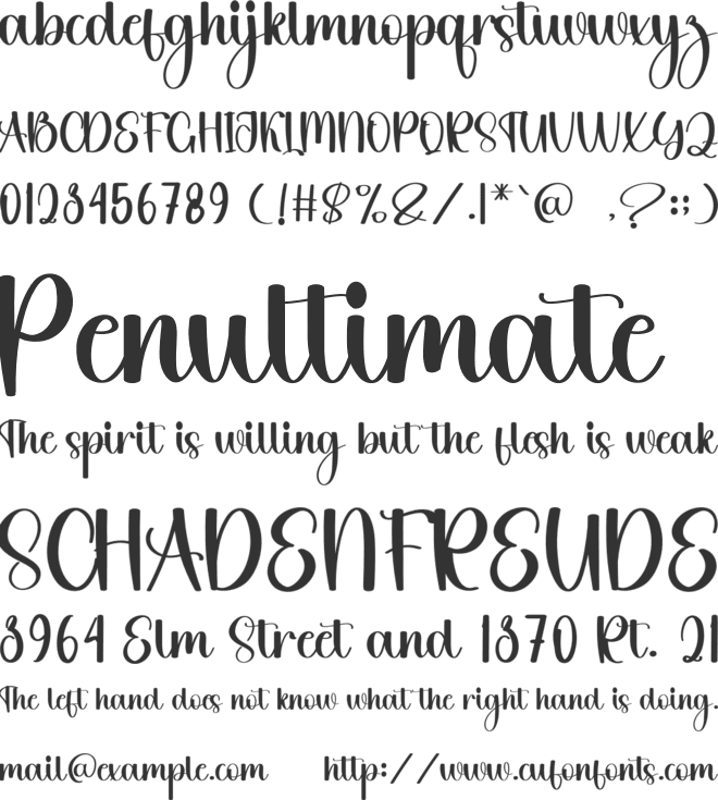 Wild font preview