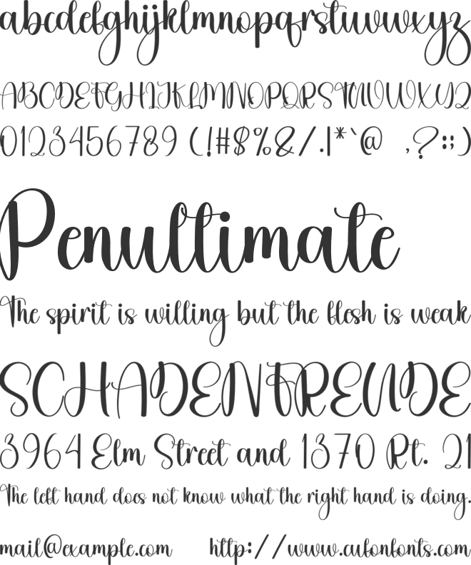 Bighome Beauty font preview