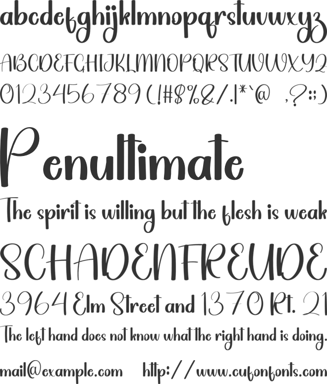 Wedding Ornament font preview
