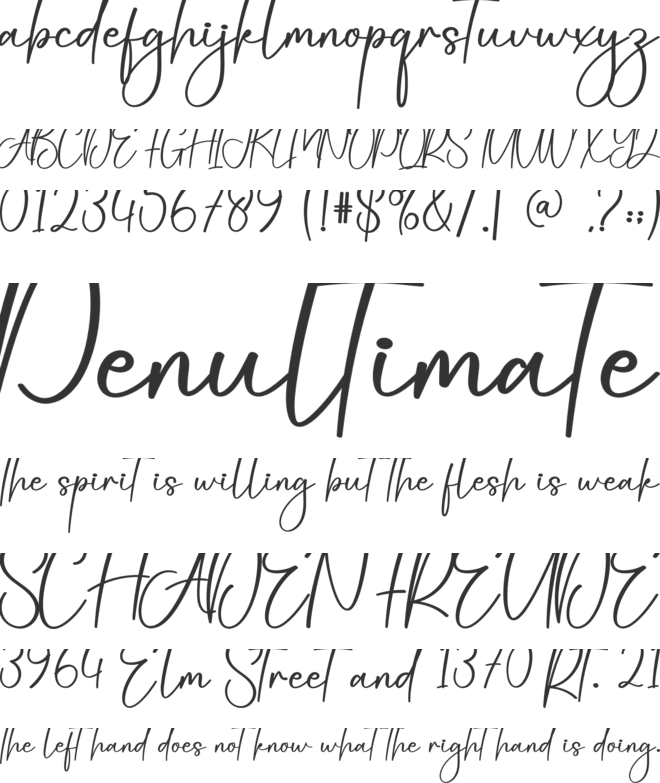 Bicycle font preview