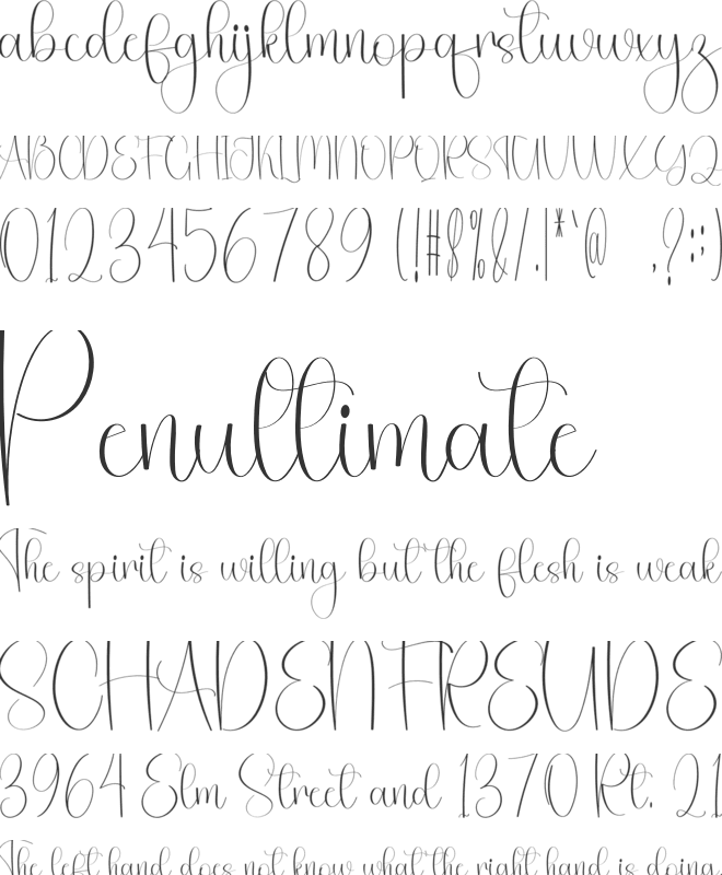 Happy Thanksgiving font preview