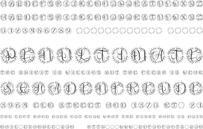 Botanest Monogram font preview