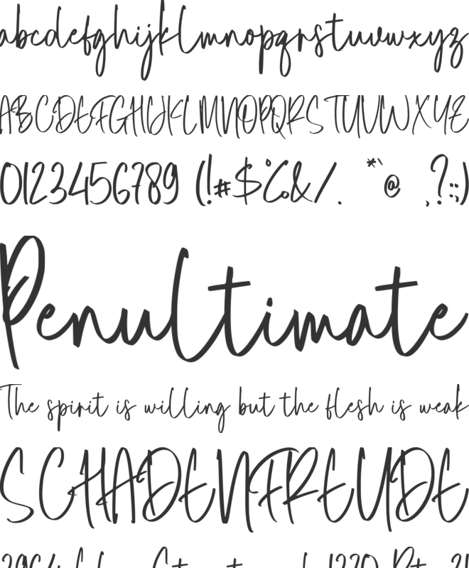 Rotterline font preview