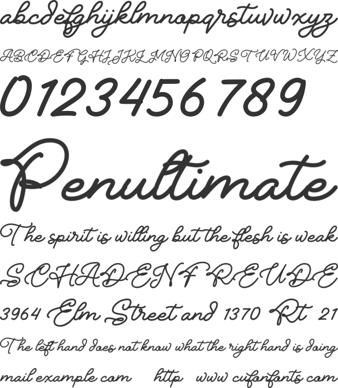 Rivaldy Monoline Script Pro font preview