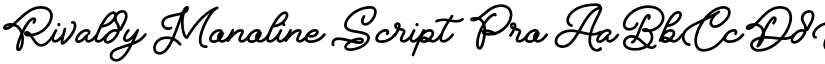 Rivaldy Monoline Script Pro font