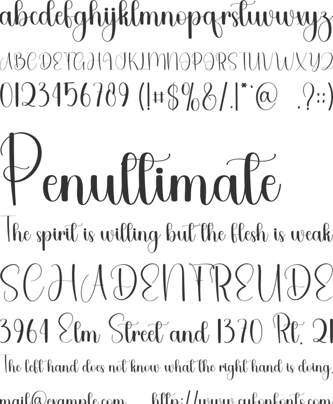 Monday Paradise font preview