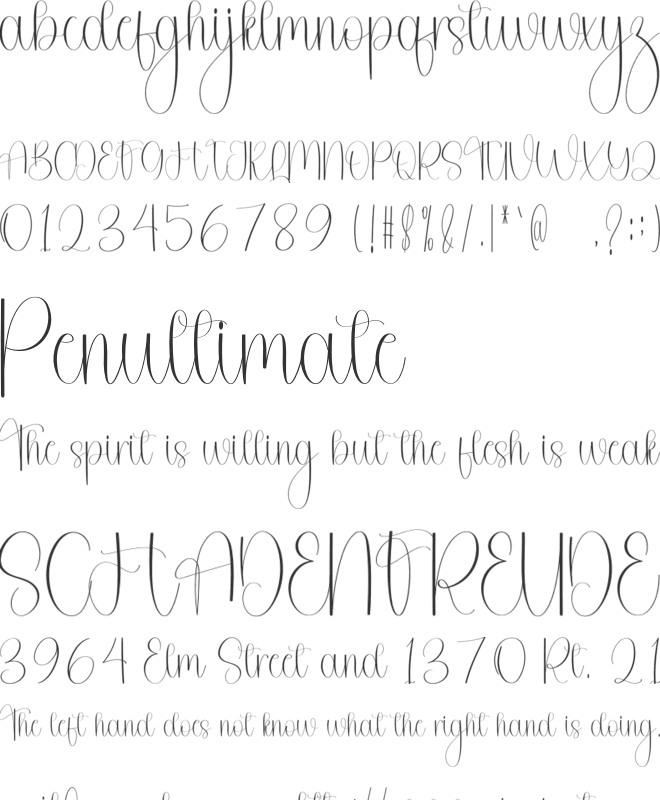History Birthday font preview
