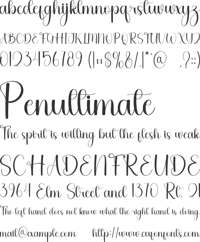 Snowing Handmade font preview
