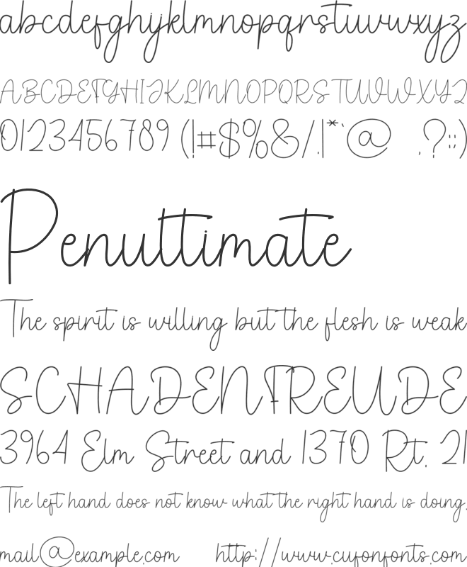 Little Present font preview