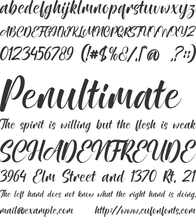 Magnolia Springs font preview