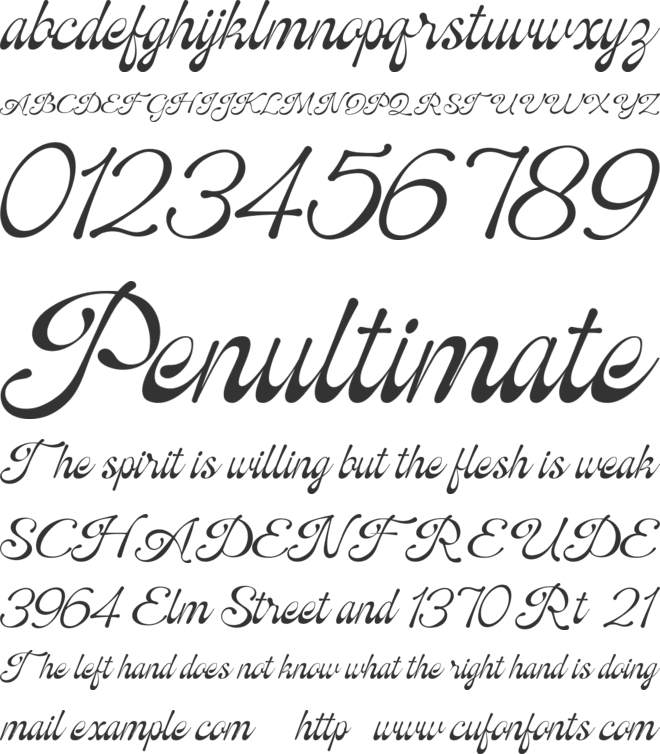 Ostelyn font preview