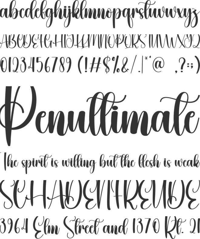Winter Lightning font preview